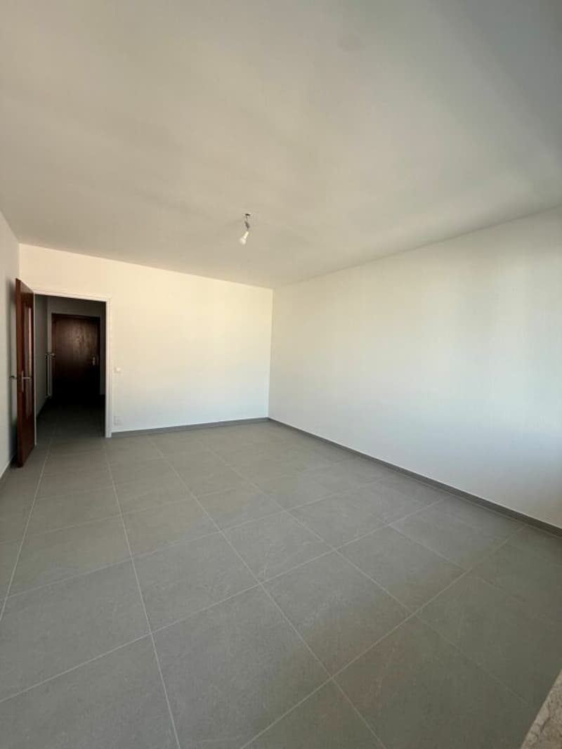 TENERO CENTRO - Affittasi appartamento di 1.5 locali (7)