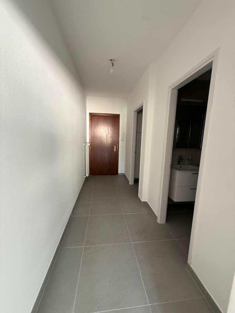 TENERO CENTRO - Affittasi appartamento di 1.5 locali (9)