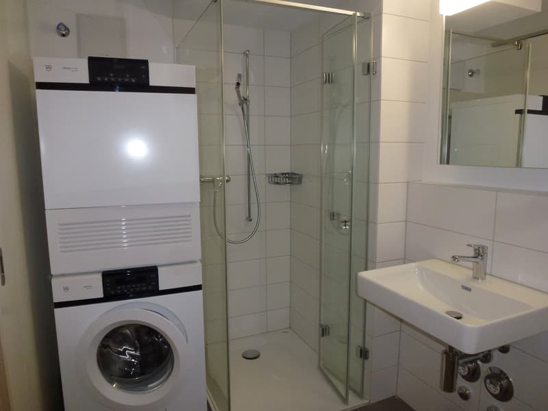 washer, dryer, shower, sink, mirror