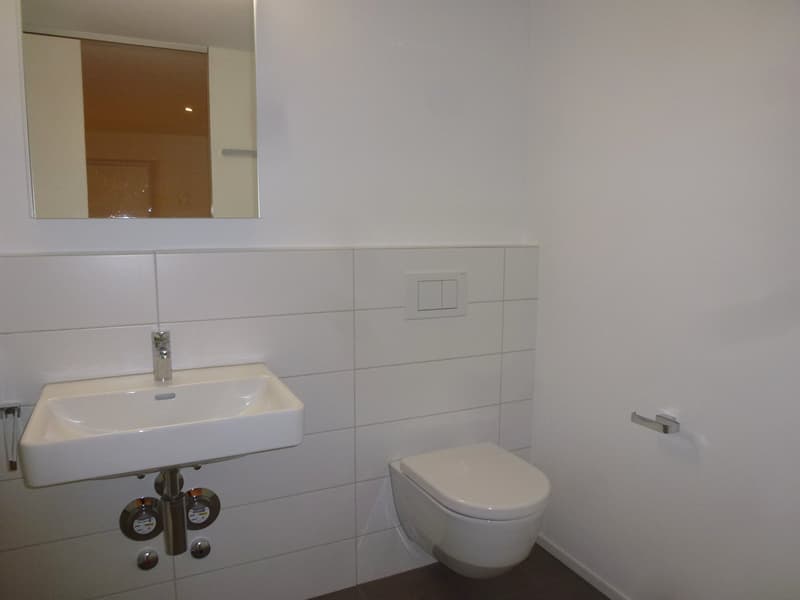 white tile walls, white toilet, white sink, silver faucet, silver wall mounted soap holder, large mirror