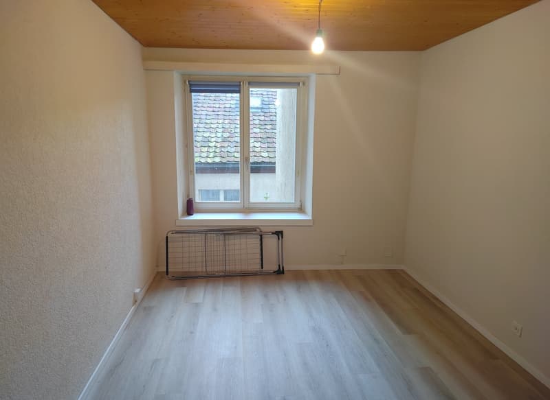 empty room, wooden floor, white walls, a window with a view to outside, a plant in the window sill