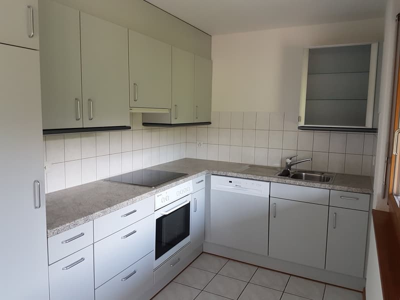 Modern kitchen with appliances: dishwasher and washing machine, white cupboards, tiled floor, black induction hob, gray counter, silver sink with faucet