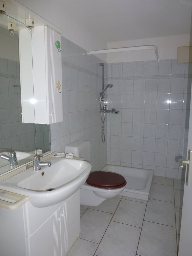 white tiles, white sink, white toilet, shower area, large mirror