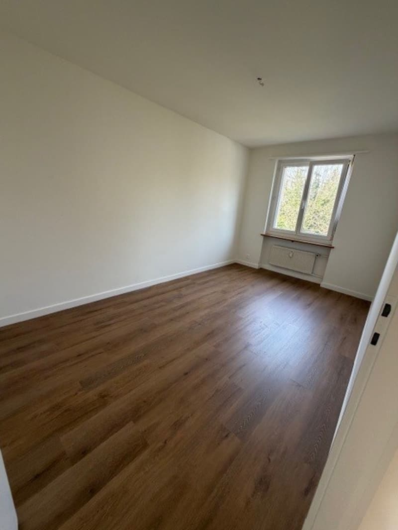 empty room, wooden floor, white walls, window, radiator
