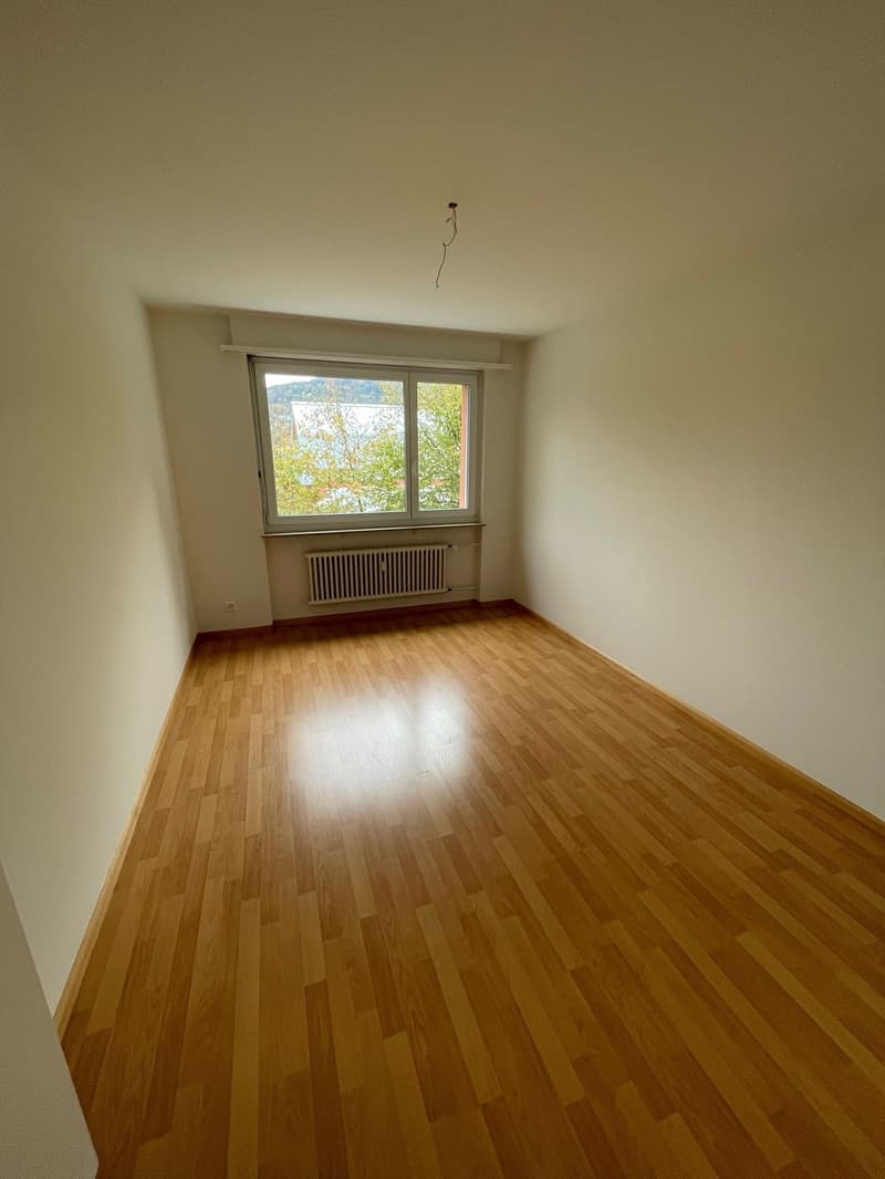 empty room, wooden floor, white walls, large window, radiator