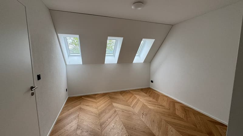 Grosszügige und moderne 4.5-Zimmer Wohnung (9)