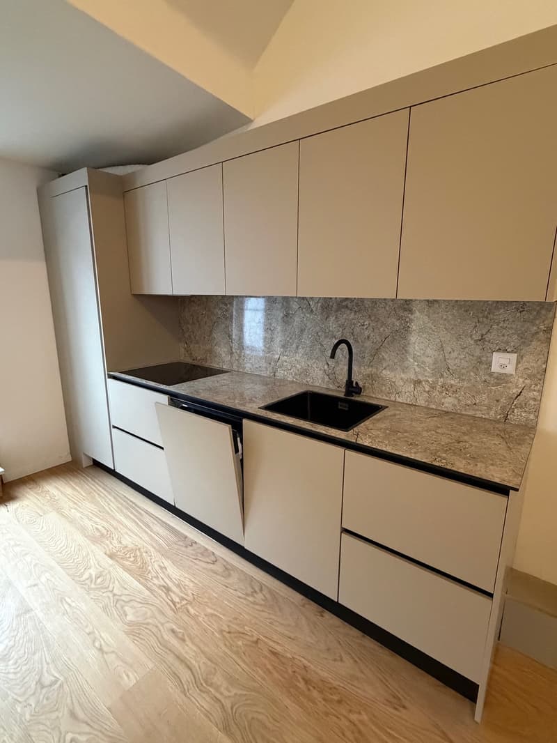 Charmante Duplex-Wohnung in Liestal mit Balkon (2)