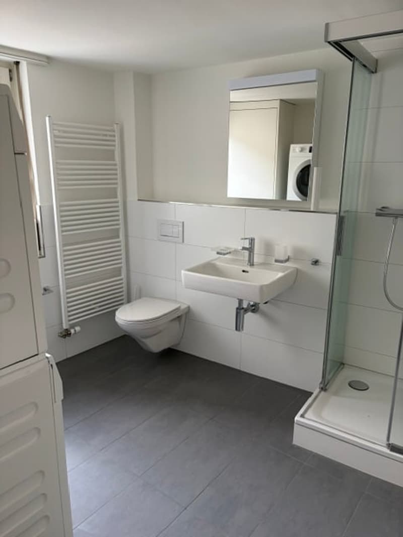 Helle 3-Zimmer-Wohnung an der Rathausstrasse in Liestal (5)
