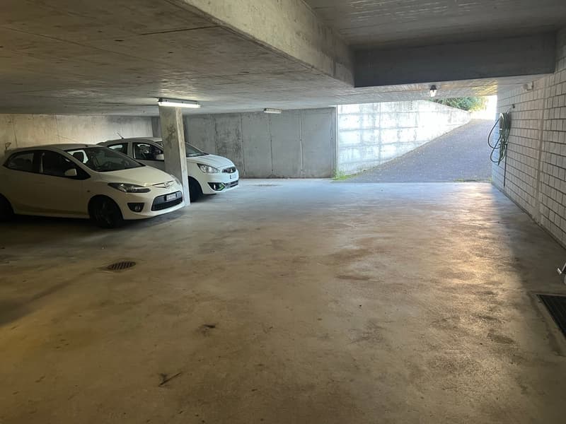Vielseitig nutzbare Dienstleistung-/ Gewerbefläche (8)