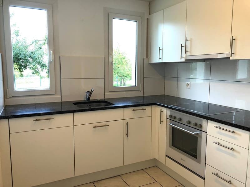 Neue, moderne Küche mit Steinabdeckung