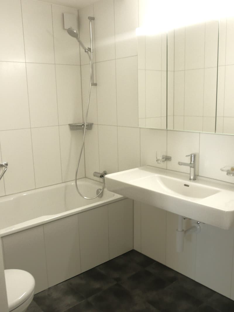 Charmante 2.5-Zimmer-Wohnung mit Balkon und Kamin in Liestal (4)