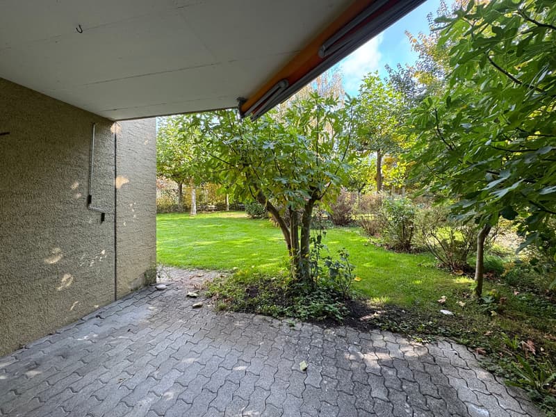 paved walkway leading to a grassy yard, small tree in the center, large grassy area, and plants, shrubs, and trees in the distance