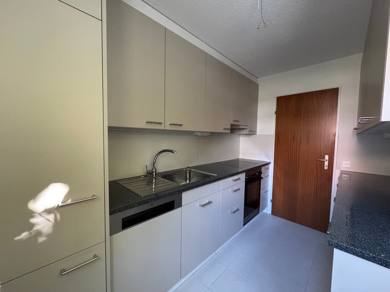 white cabinets, black countertops, stainless steel sink, dishwasher, modern faucet, wooden door