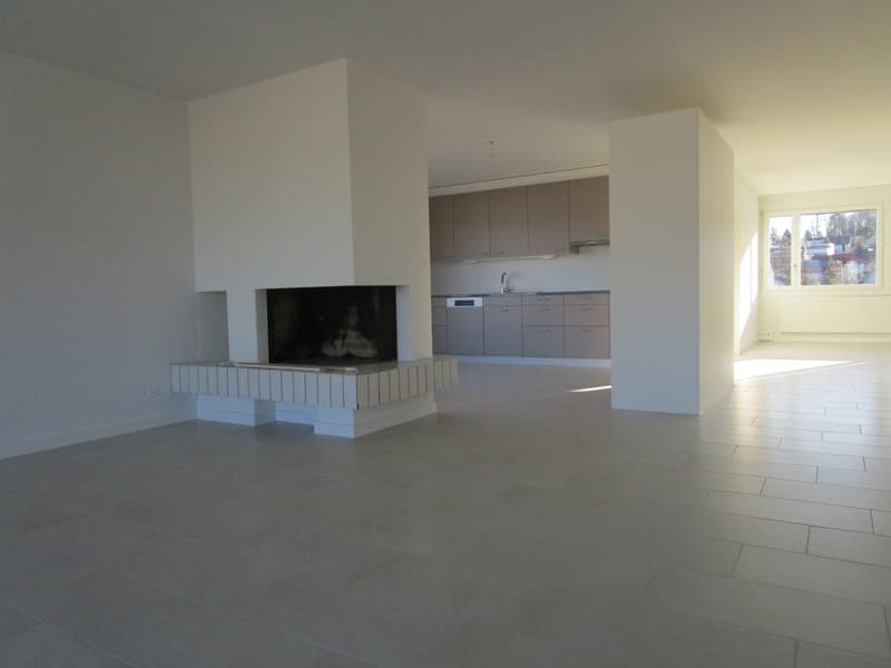 Large open space, modern design, fireplace, kitchen area, white tiles, gray kitchen cabinets, large window