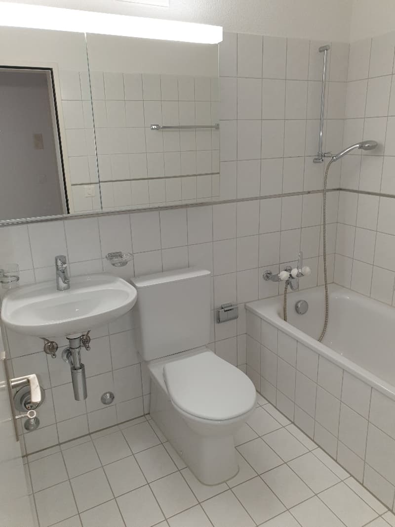 Helle 3.5- Zimmerwohnung mit 2 Balkone (3)