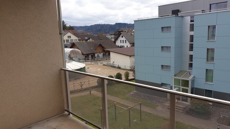 Helle 3.5- Zimmerwohnung mit 2 Balkone (10)