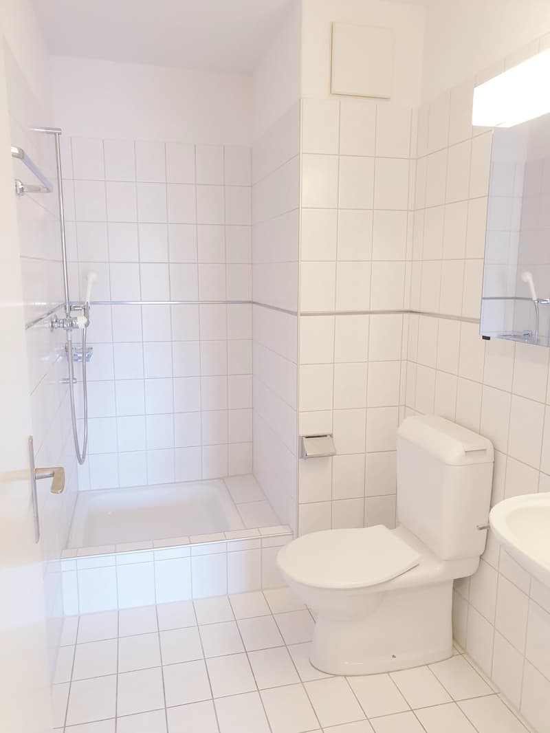 Helle zentral gelegene 4.5 Zimmerwohnung im 3. OG (4)