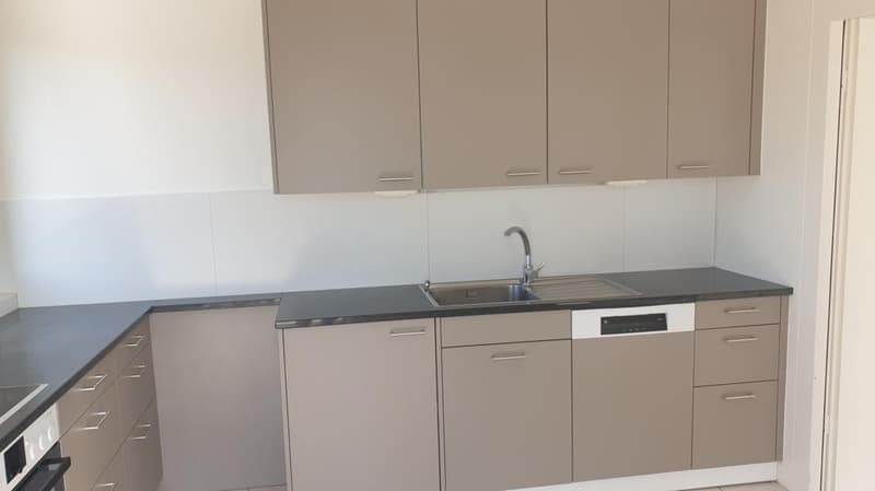 Helle, grosse, 5.5-Zimmerwohnung mit Aussicht (3)