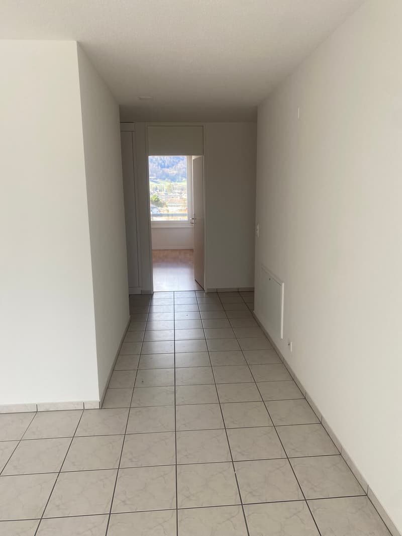 Renovierte 3,5-Zimmer-Attika-Wohnung mit grosser Terrasse (12)