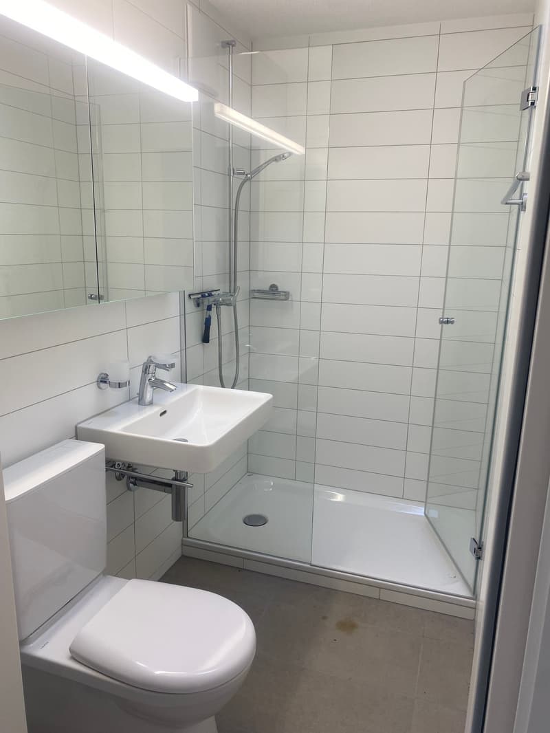 Renovierte 3,5-Zimmer-Attika-Wohnung mit grosser Terrasse (7)