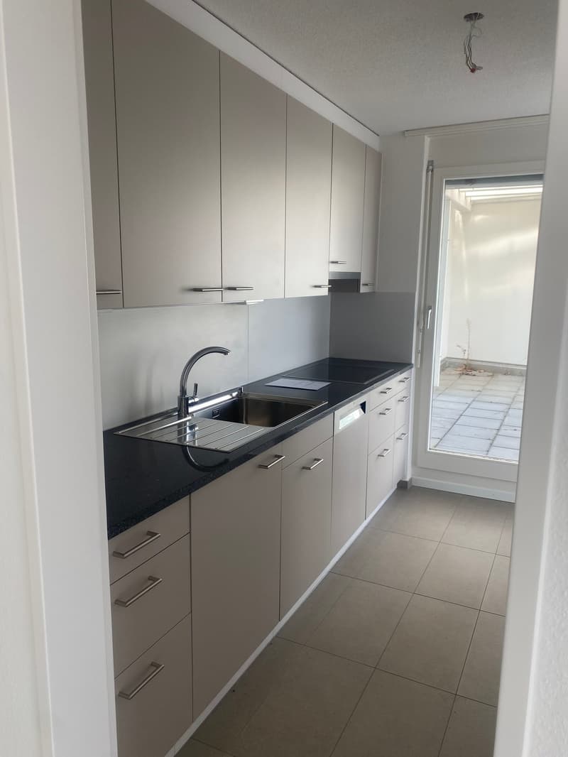 Renovierte 3,5-Zimmer-Attika-Wohnung mit grosser Terrasse (2)