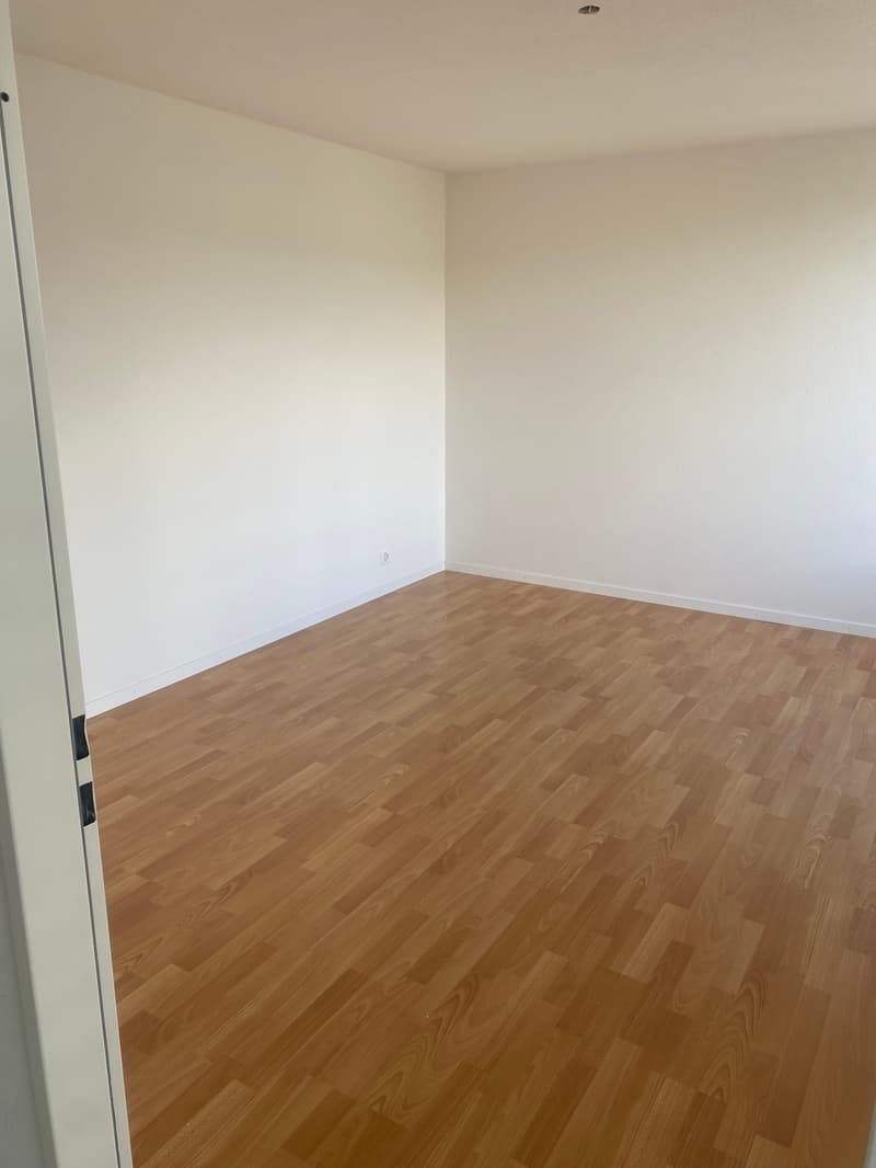 Renovierte 3,5-Zimmer-Attika-Wohnung mit grosser Terrasse (16)