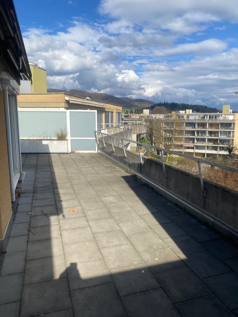 Renovierte 3,5-Zimmer-Attika-Wohnung mit grosser Terrasse (21)
