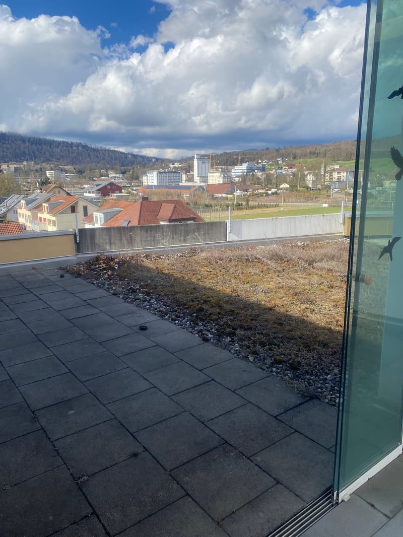 Renovierte 3,5-Zimmer-Attika-Wohnung mit grosser Terrasse (20)