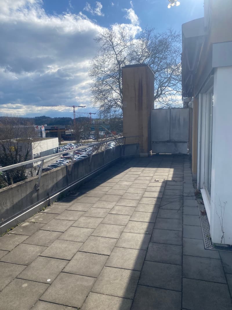 Renovierte 3,5-Zimmer-Attika-Wohnung mit grosser Terrasse (19)