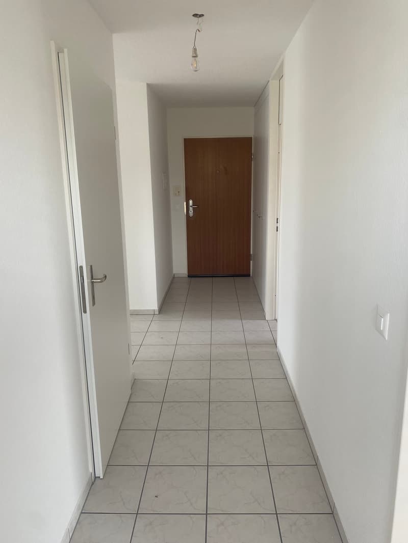 Renovierte 3,5-Zimmer-Attika-Wohnung mit grosser Terrasse (14)