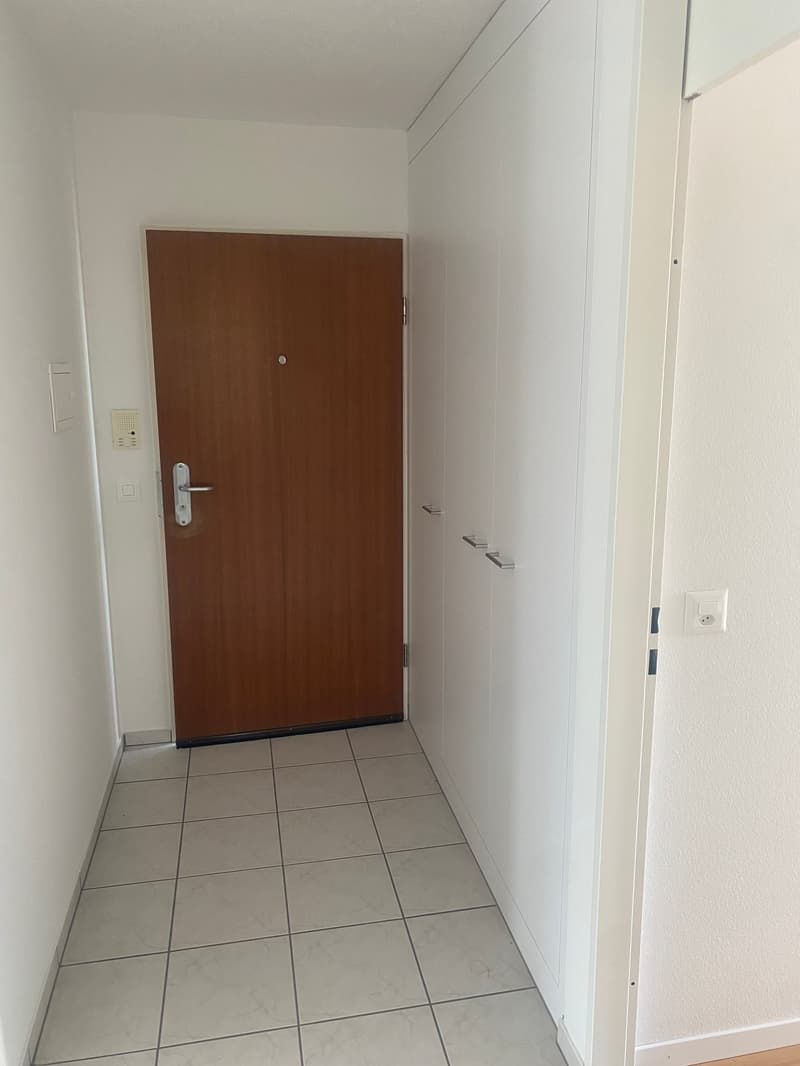 Renovierte 3,5-Zimmer-Attika-Wohnung mit grosser Terrasse (15)