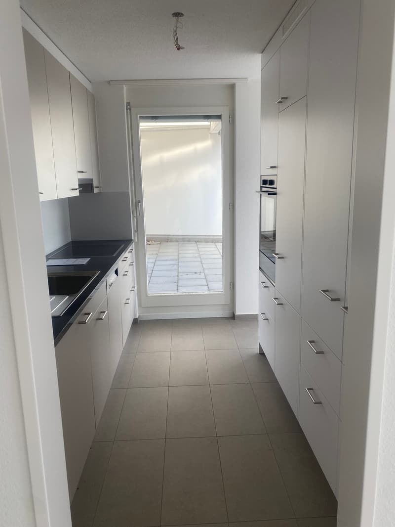 Renovierte 3,5-Zimmer-Attika-Wohnung mit grosser Terrasse (3)