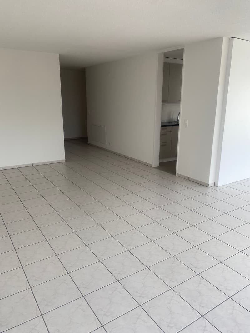 Renovierte 3,5-Zimmer-Attika-Wohnung mit grosser Terrasse (10)