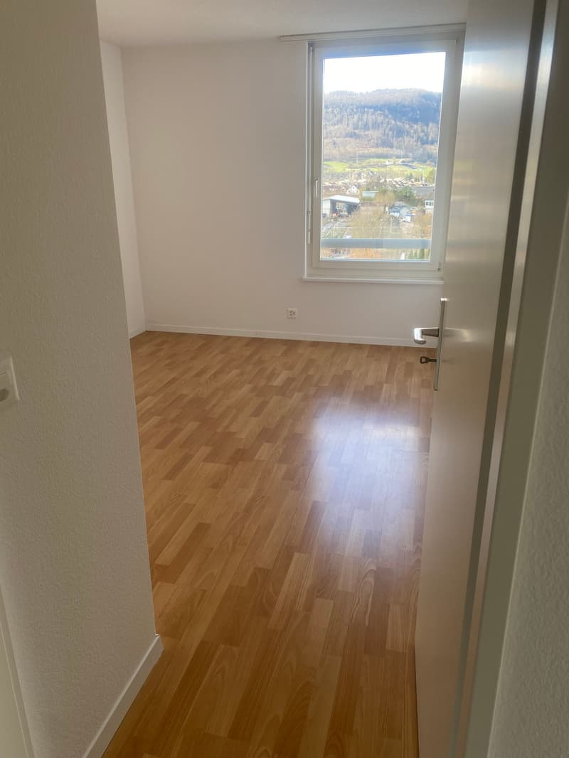 Renovierte 3,5-Zimmer-Attika-Wohnung mit grosser Terrasse (18)