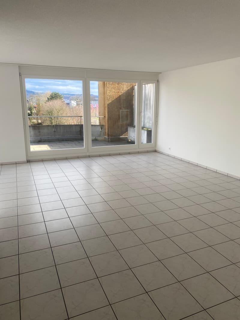 Renovierte 3,5-Zimmer-Attika-Wohnung mit grosser Terrasse (8)