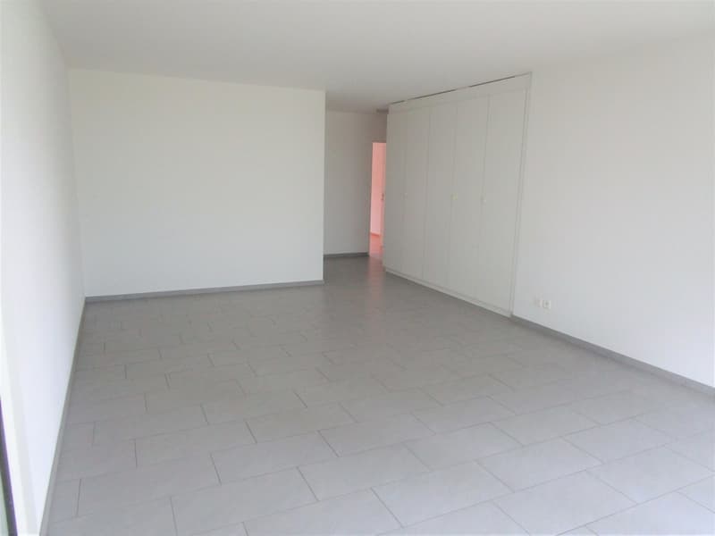 Ortszentrum - schöne 4.5 Zimmerwohnung mit Sitzplatz (5)