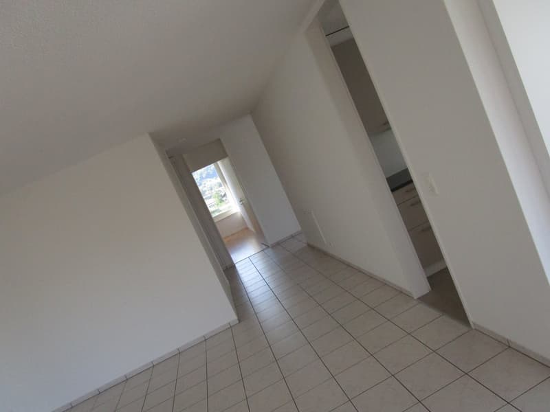 3.5-Zimmer-Attikawohnung mit neuer Küche (12)