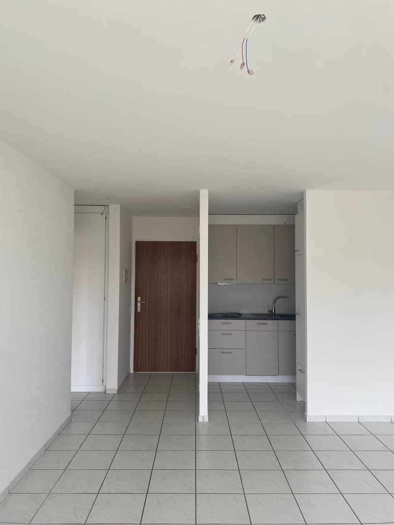Gemütliche 2-Zimmer-Wohnung mit Balkon in Olten (7)