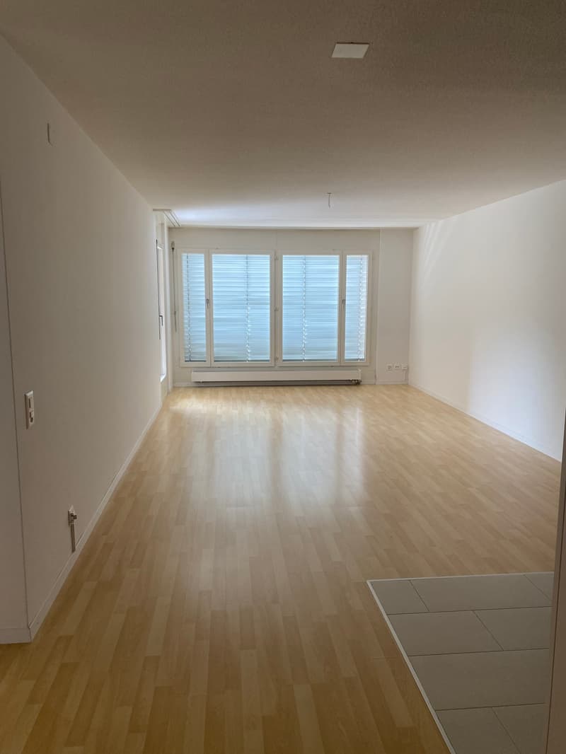Tolle 2-Zimmer-Wohnung mit Balkon in Olten (2)