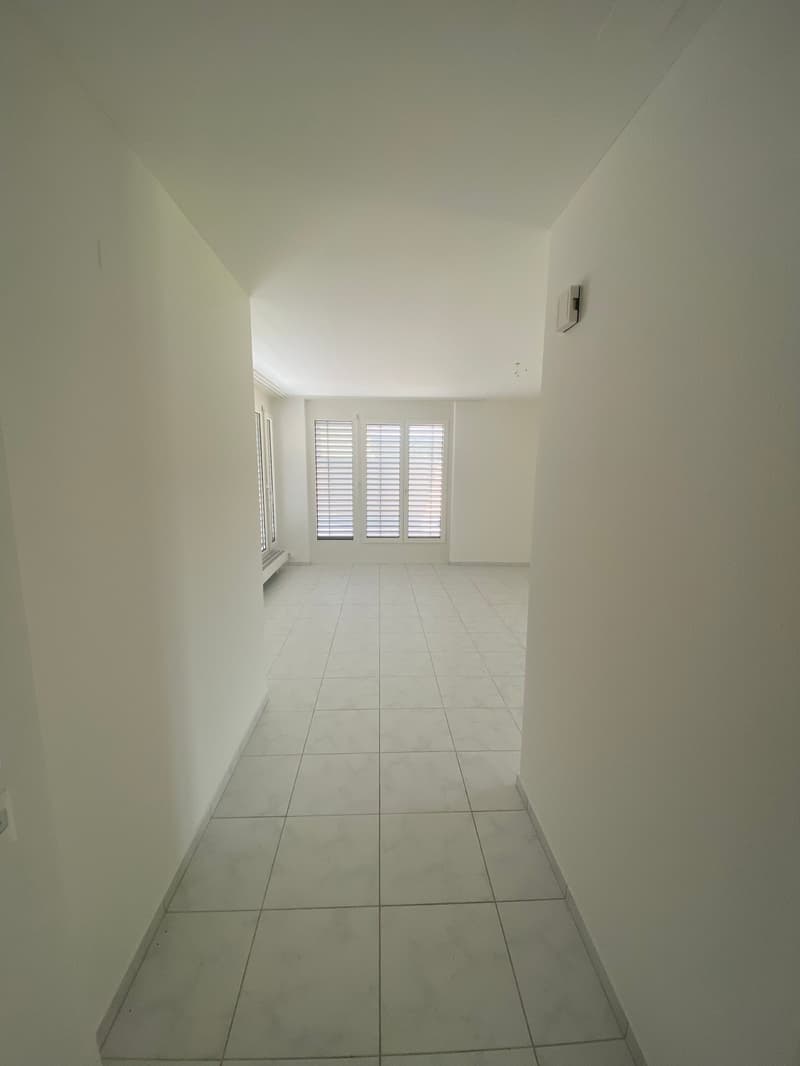 Helle 1-Zimmer-Attikawohnung schöner Aussicht in Olten (2)