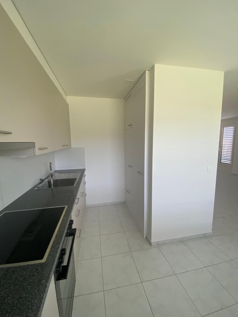 Helle 1-Zimmer-Attikawohnung schöner Aussicht in Olten (7)
