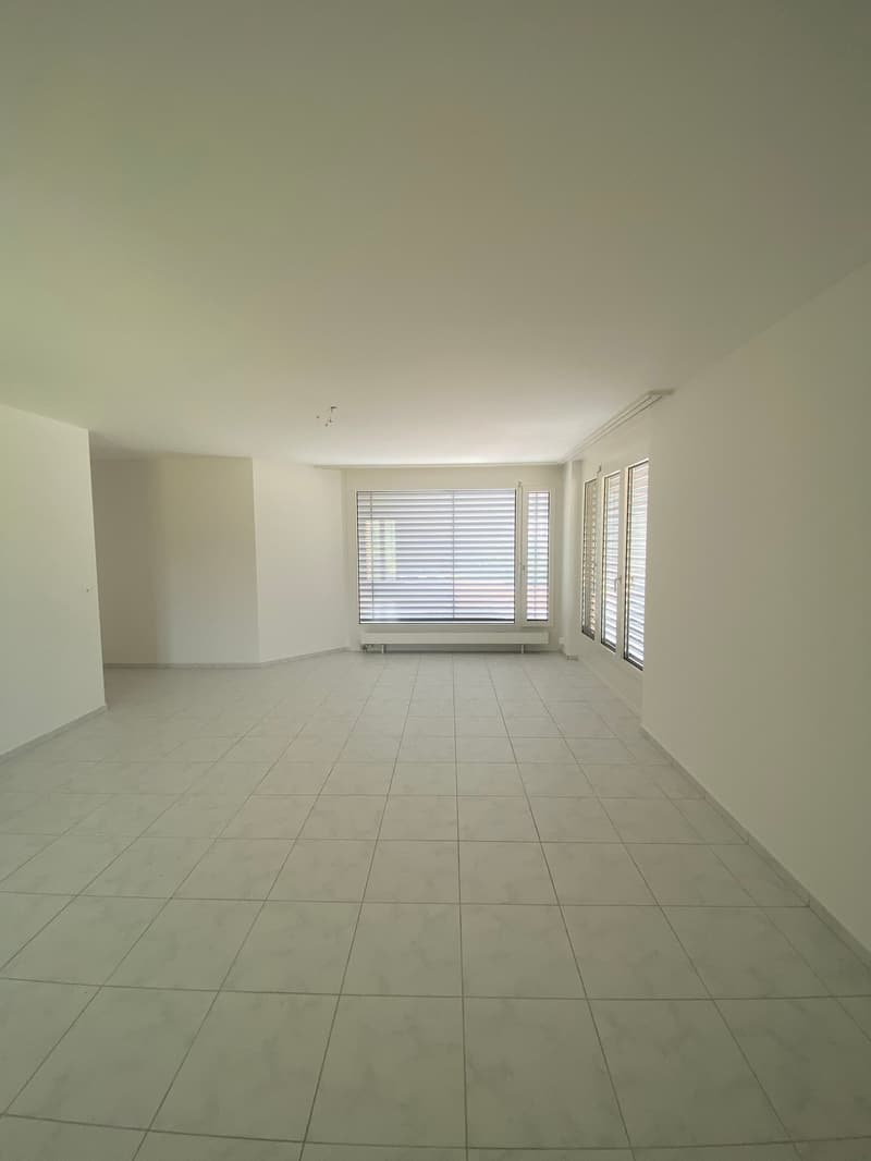 Helle 1-Zimmer-Attikawohnung schöner Aussicht in Olten (9)