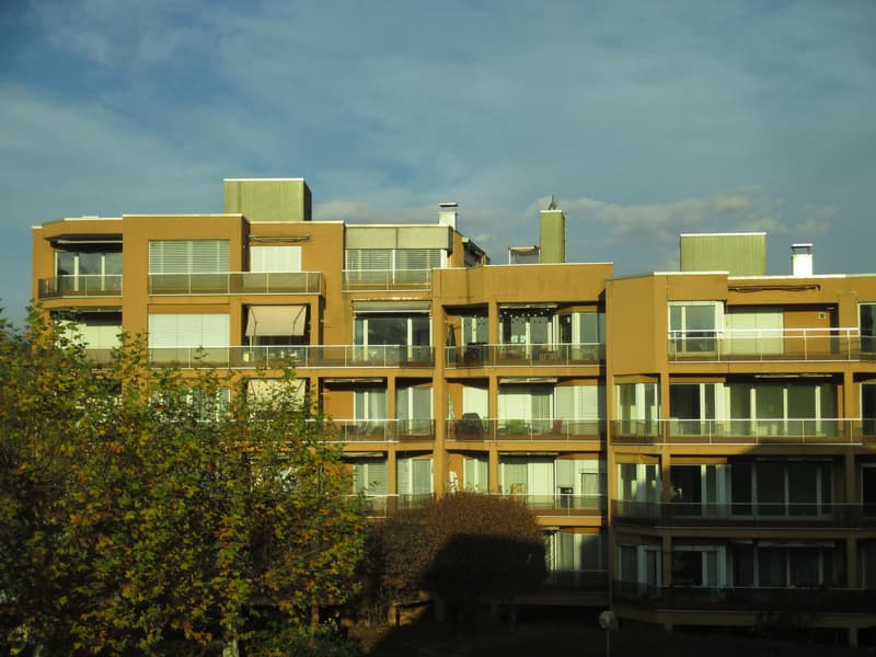 Frische 3.5-Zimmer-Wohnung mit Balkon in Olten (1)