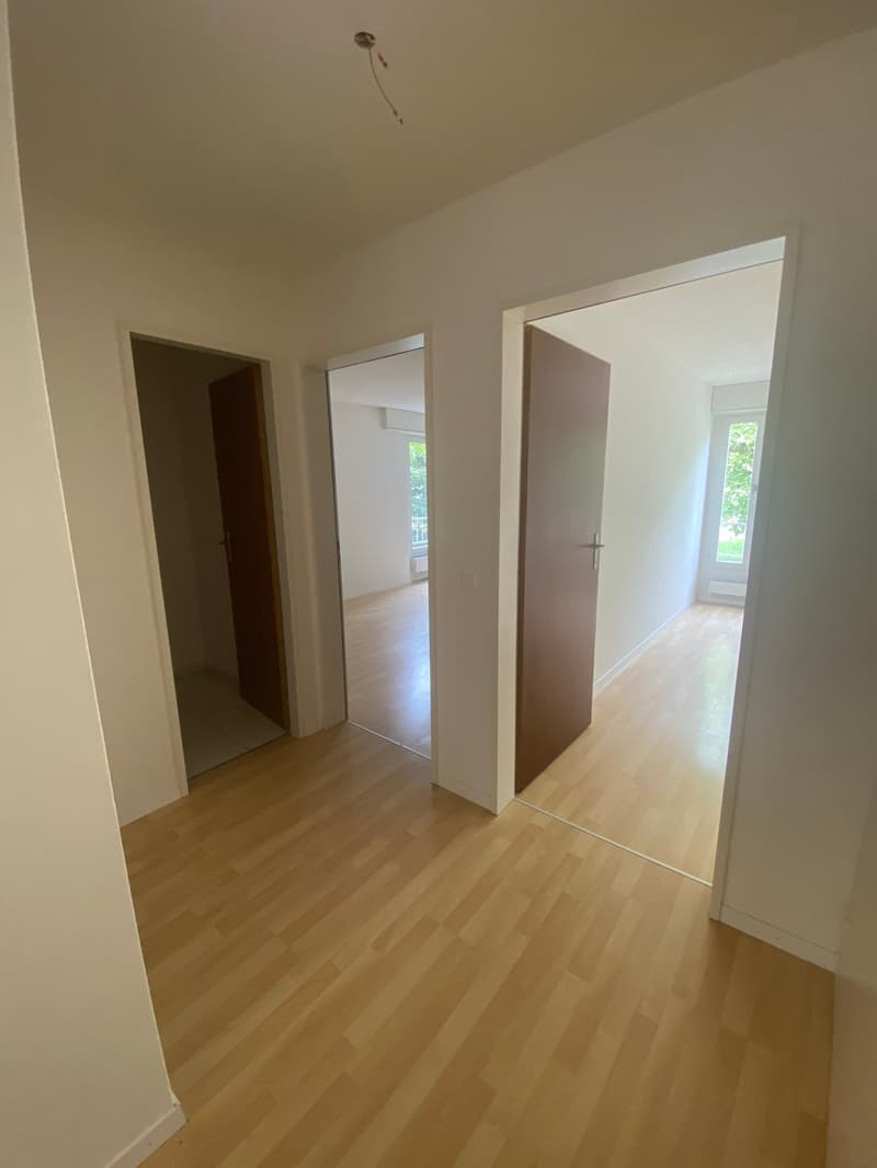 Frische 3.5-Zimmer-Wohnung mit Balkon in Olten (11)