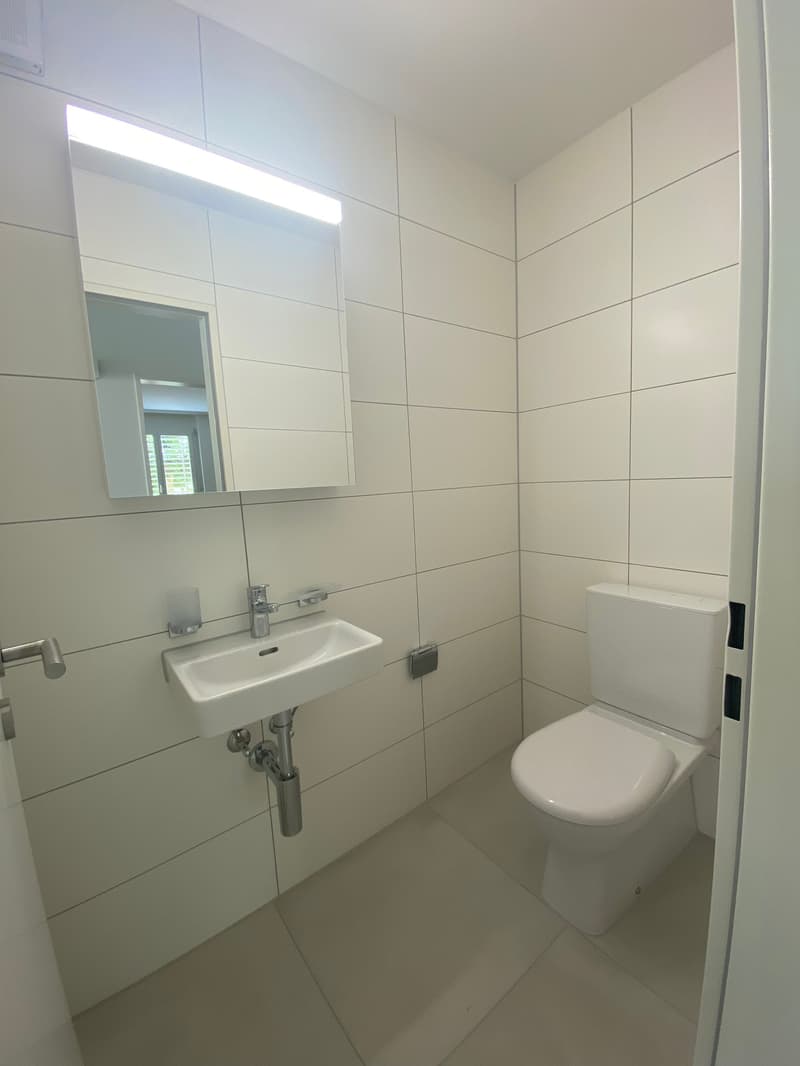 Helle 3.5-Zimmer-Wohnung mit Terrasse in Olten (14)