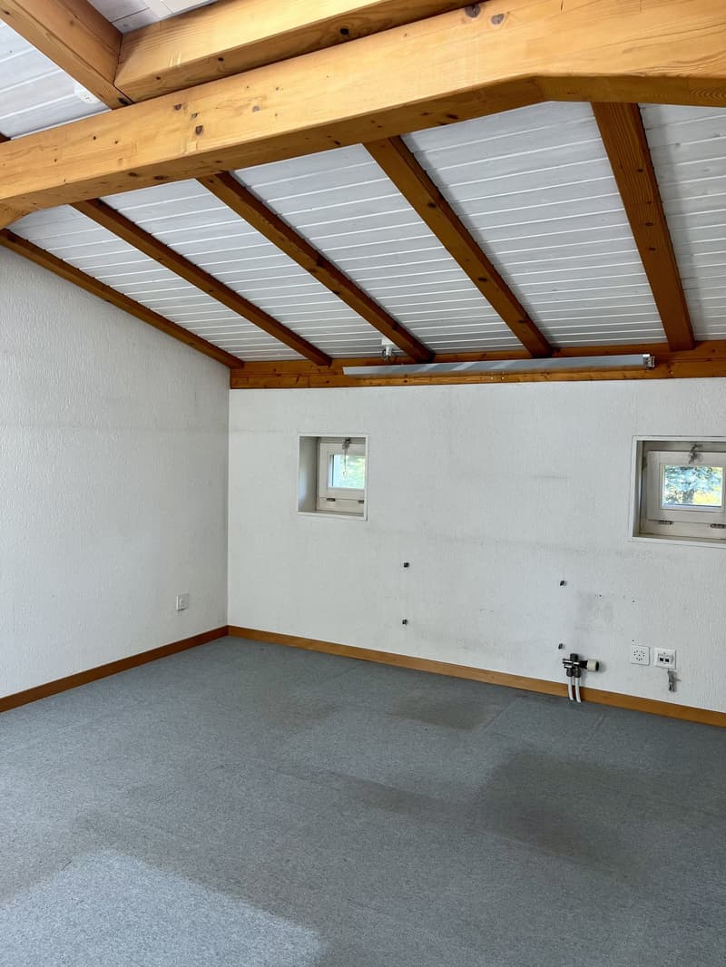 Ein weiteres, spannendes „Zuhause“, dass seinen neuen Eigentümer sucht…. (13)