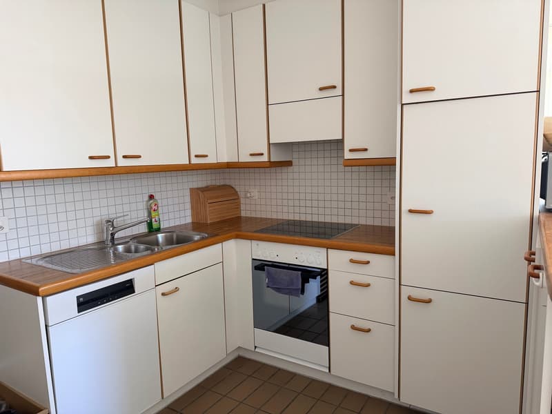 Grandiose 2.5-Zimmerwohnung an top Lage! (4)