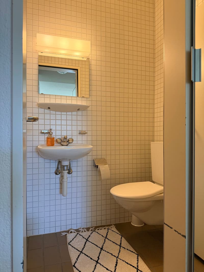Grandiose 2.5-Zimmerwohnung an top Lage! (3)