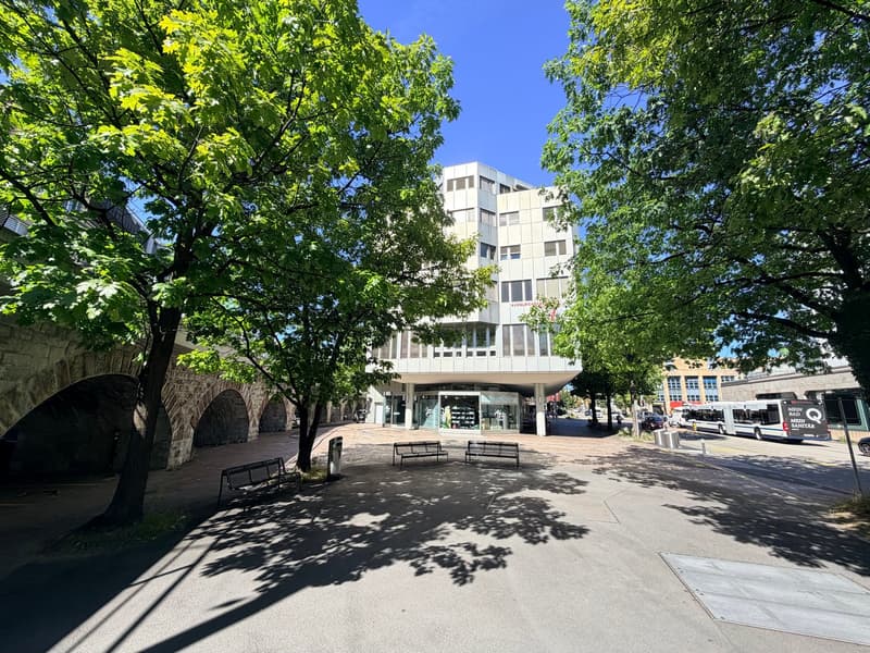 Grandiose 2.5-Zimmerwohnung an top Lage! (2)