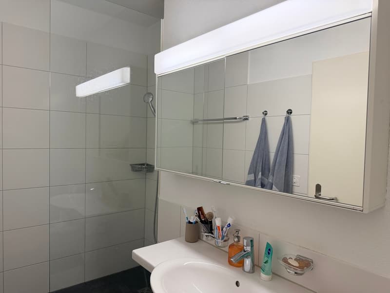 Grandiose 2.5-Zimmerwohnung an top Lage! (10)